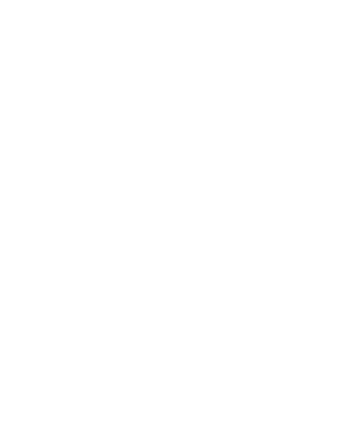 Logo Tonin Digital